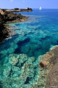 Blick auf das Meer mit einem Segelboot in der Ferne in der Unterkunft Agriturismo Hibiscus in Ustica