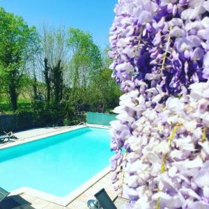 a wall covered in purple and white balloons next to a swimming pool at La Fontenelle Meublé in Sainte-Sévère