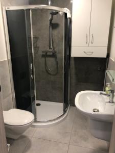 a bathroom with a shower and a toilet and a sink at Za Rogiem2 in Duszniki Zdrój