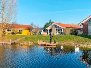 two swans are swimming in the water near a house at 6 person holiday home in Otterndorf in Otterndorf