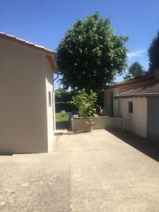 a courtyard with a tree and a white building at Studio Moderne in Saint-Symphorien-dʼOzon