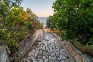 Gallery image of THE HAPPINESS OF VANGELIS in Paralia Vrachou