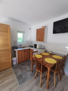 Kuchyň nebo kuchyňský kout v ubytování Apartament Ogrodowa