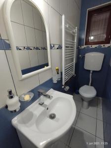 Ett badrum på Ozrenska bašta apartmani