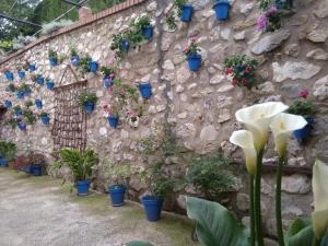 Fotografia z galérie ubytovania Cortijo de las flores Cazorla v destinácii La Iruela
