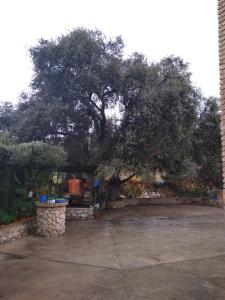 Fotografia z galérie ubytovania Cortijo de las flores Cazorla v destinácii La Iruela