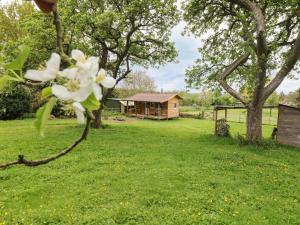 a view of the cabin from the yard at Bramley Orchard Glamping in Retford