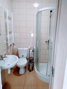 a bathroom with a toilet and a sink and a shower at Scandi FoRest in Palanga