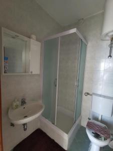 een badkamer met een douche, een wastafel en een toilet bij Apartment Lira 2 in Mlini