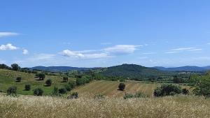 una vista de un campo con montañas en el fondo en Casa vacanze Grancia, en Grosseto