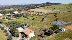 格羅塞托的住宿－Casa vacanze Grancia，享有一棵树的农场的空中景色