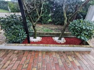Zahrada ubytování Villa Sveti Donat