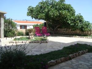 Zahrada ubytování Apartment in Pag with sea view, terrace, air conditioning, WiFi (4891-1)