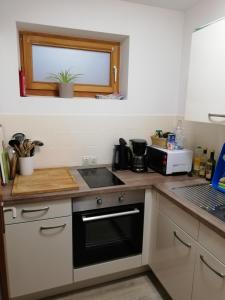 eine Küche mit Spüle und Herd Oberer Backofen in der Unterkunft Ferienwohnung Nagelfluh Allgäu in Oberreute