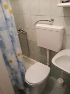 a bathroom with a toilet and a shower curtain at Apartment in Lopar with sea view, terrace, air conditioning, Wi-Fi (4618-4) in Lopar