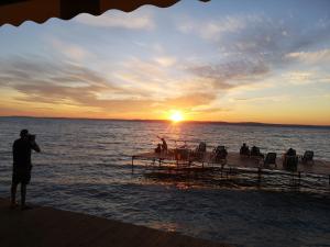 Afbeelding uit fotogalerij van Dalma Panzió in Balatonvilágos +56 foto's