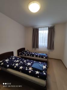 een slaapkamer met 2 bedden en een raam bij Penzion DUHET in Hulín