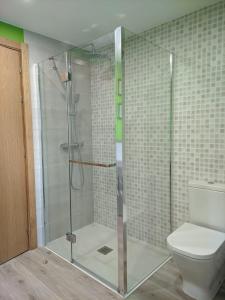 a bathroom with a shower and a toilet at Apartamento Elizaldea in Betelu +22 photos
