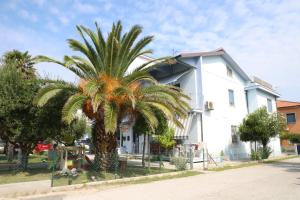 un palmier devant une maison blanche dans l'établissement Casa Meris, à Fano