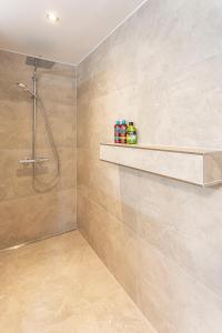 a bathroom with a shower and a shelf at Pension Talblick in Sulz am Neckar