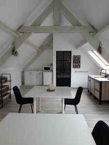 Kuchyň nebo kuchyňský kout v ubytování Letteratelier drieSprong