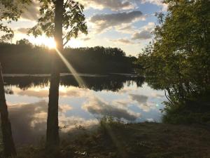 ein Spiegelbild der Sonne in einem See mit Bäumen in der Unterkunft B&B Biesvenhof in Merksplas