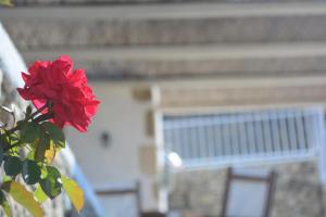 Fotografie z fotogalerie ubytování Anemolia Villa v destinaci Karpathos