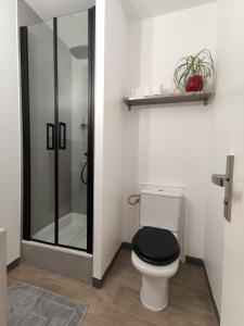 Koupelna v ubytování Le Danycan - 18mn à pied gare TGV + 6 fotografií