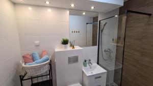 uma casa de banho com um chuveiro, um WC e um lavatório. em Apartament Rycerski em Malbork