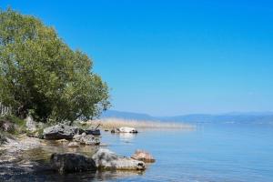 Zdjęcie z galerii obiektu KLIO Apartments w mieście Struga