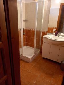 a bathroom with a shower and a sink at Galambos Pincészet in Abaújszántó