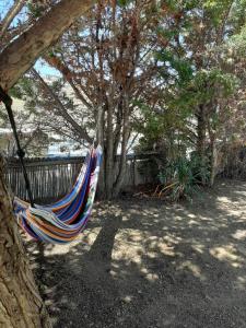 a hammock hanging from a tree in a yard at Chaniotis Studios in Kalafatis