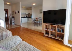 TV a/nebo společenská místnost v ubytování Apartment Idlerocks