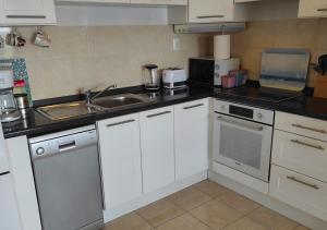 Kuchyň nebo kuchyňský kout v ubytování Apartment Idlerocks