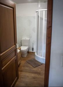 a bathroom with a shower and a toilet in it at Maison La Ruelle des Chats Centre Historique de Troyes in Troyes +21 photos
