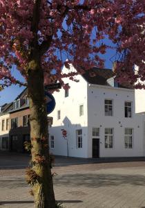 un edificio blanco con un árbol delante en Stadsvilla met patio in centrum Maastricht en Maastricht