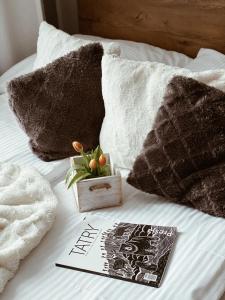 a bed with pillows and a box with a plant on it at Dworek Zakopane in Zakopane