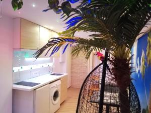uma cozinha com uma palmeira e uma máquina de lavar louça em Wonder Paradisio Studio Nerja em Nerja