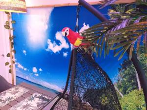 um papagaio vermelho está sentado numa gaiola de pássaros em Wonder Paradisio Studio Nerja em Nerja