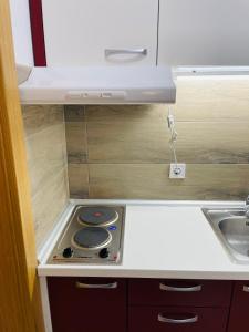 Il comprend une petite cuisine équipée d'une cuisinière et d'un évier. dans l'établissement Apartman Saga Premium Garaza Parking Vauceri Ne, à Sokobanja
