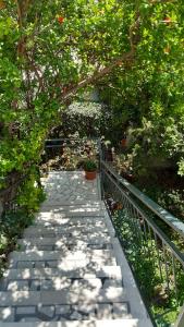 uma passarela de pedra em um jardim com árvores e plantas em Guesthouse Mixe em Budva