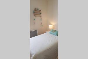 a bedroom with a white bed with a blue pillow at Le Gite de Myla au pied du Château Royal d'Amboise in Amboise +5 photos