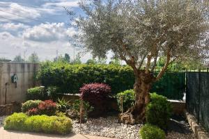 un giardino con un albero, alcuni cespugli e una recinzione di La casa di Leo a Montichiari