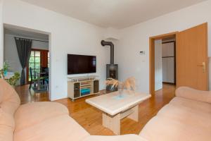 a living room with two couches and a tv at Thirsty River Apartments in Bovec