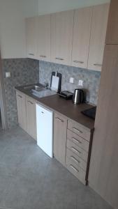 A kitchen or kitchenette at Apartments M, Kallikratia