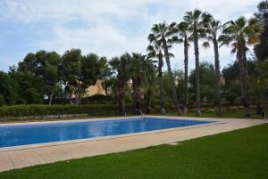 una piscina en un parque con palmeras en LOS ALAMILLOS 3 Piscina, CAMPO DE FUTBOL y jardin PRIVADOS, en Mazarrón