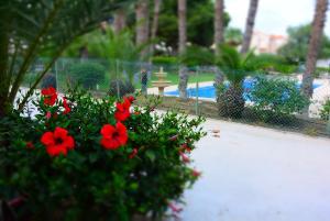 Galeriebild der Unterkunft PALMERAS, Piscina, CAMPO DE FUTBOL y jardin PRIVADOS in Mazarrón