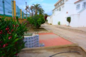 Galeriebild der Unterkunft PALMERAS, Piscina, CAMPO DE FUTBOL y jardin PRIVADOS in Mazarrón