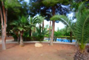 Galeriebild der Unterkunft PALMERAS, Piscina, CAMPO DE FUTBOL y jardin PRIVADOS in Mazarrón