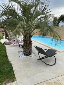 a chair and a palm tree next to a pool at Villa SPA Piscine : entre mer et montagne in Foissac